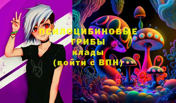 винт Болотное