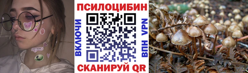 Галлюциногенные грибы GOLDEN TEACHER наркотики Мосальск